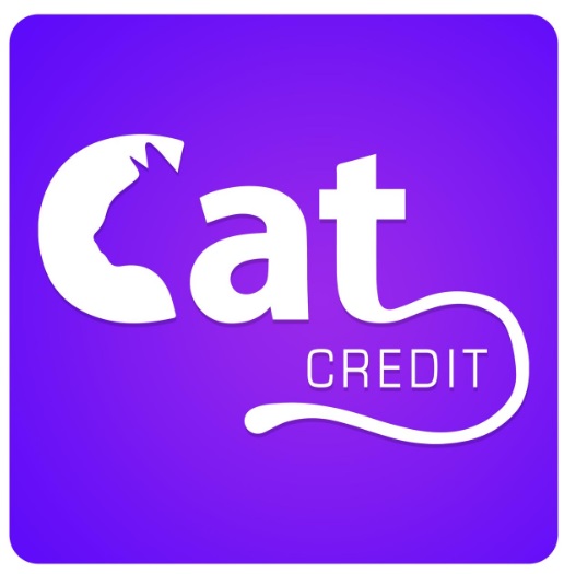 Cat Credit 2